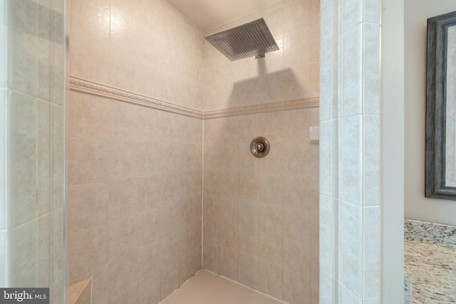 18309 Eldorado Way, Leesburg, VA 20176 - bathroom with a tile shower