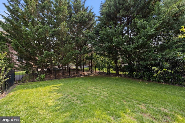 18309 Eldorado Way, Leesburg, VA 20176 - view of yard