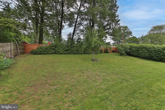 35 Alberts Way, Langhorne, PA 19047 - view of yard