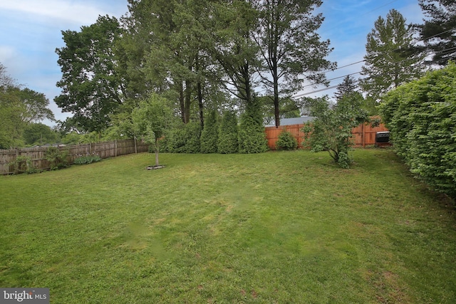 35 Alberts Way, Langhorne, PA 19047 - view of yard