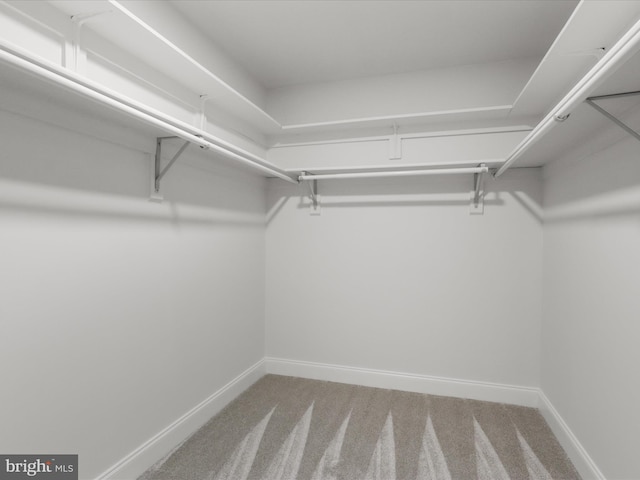 9365 River Crest Rd, Manassas, VA 20110 - spacious closet featuring carpet floors