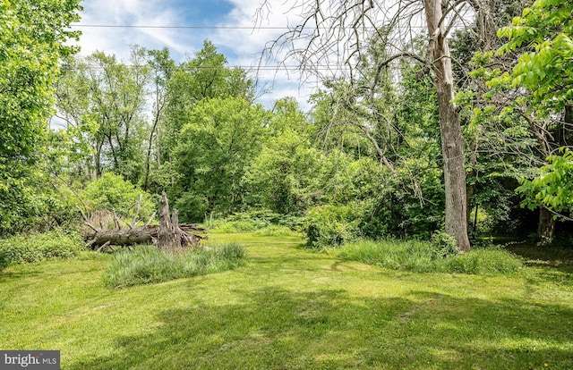 29 E Main St, Newark, DE 19702 - view of grassy yard