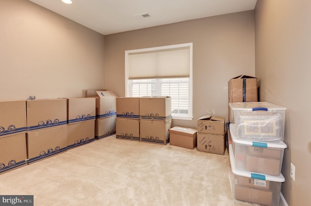 23166 Glenorchy Ct, Ashburn, VA 20148 - view of storage