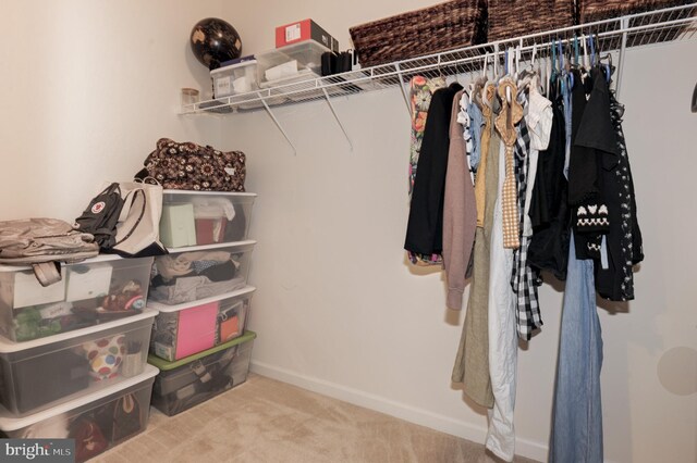 23166 Glenorchy Ct, Ashburn, VA 20148 - spacious closet featuring carpet