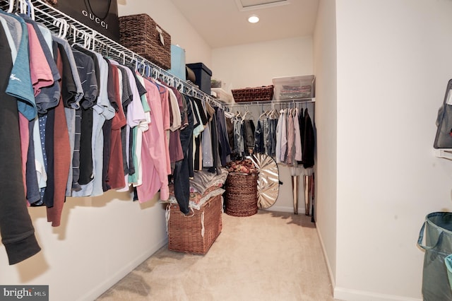 23166 Glenorchy Ct, Ashburn, VA 20148 - walk in closet with carpet flooring and attic access