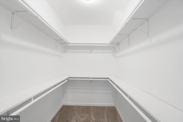 spacious closet with carpet flooring
