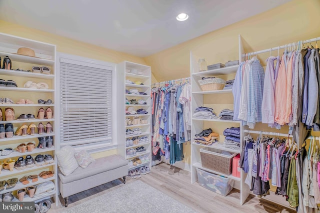 spacious closet featuring wood finished floors