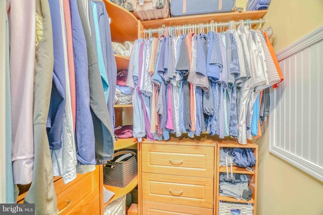 view of spacious closet