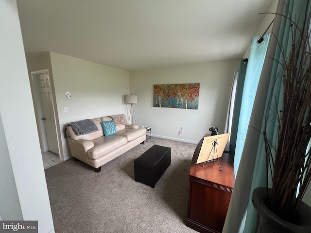 23 Cardinal Ln, Sicklerville, NJ 08081 - carpeted living area with baseboards