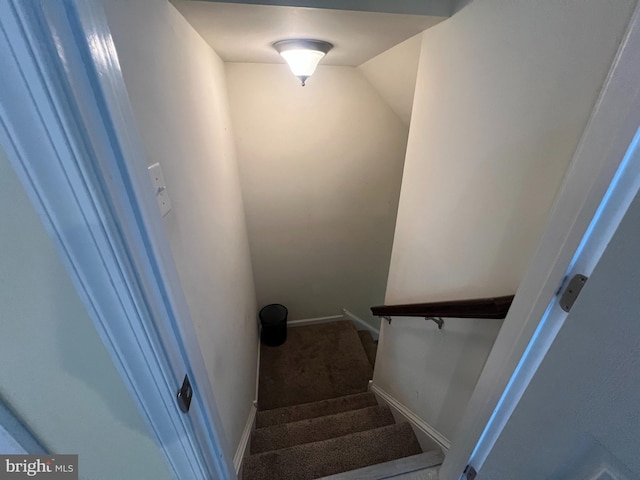 23 Cardinal Ln, Sicklerville, NJ 08081 - stairs featuring carpet