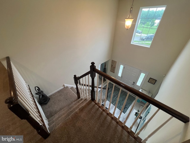 23 Cardinal Ln, Sicklerville, NJ 08081 - stairway featuring carpet flooring and baseboards
