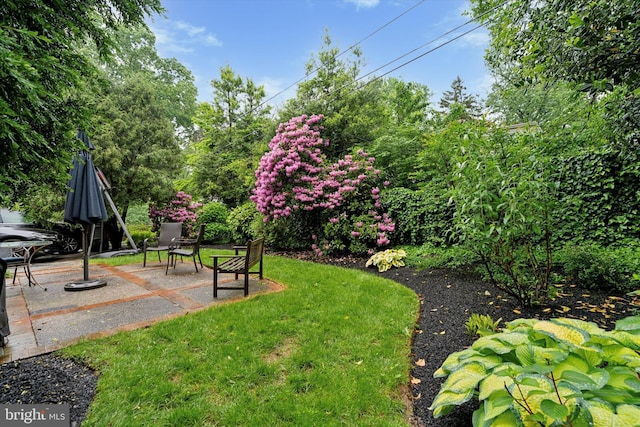 view of green lawn with a patio