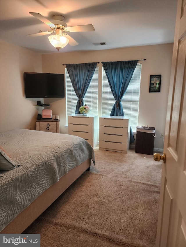 4806 Amberfield Way, Upper Marlboro, MD 20772 - bedroom with carpet floors, multiple windows, and ceiling fan