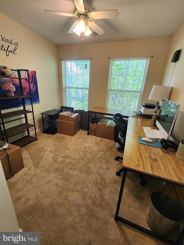 4806 Amberfield Way, Upper Marlboro, MD 20772 - carpeted office space with ceiling fan