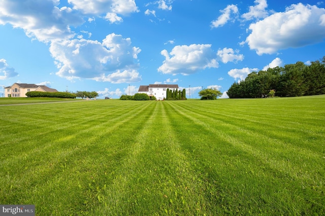 1280 Saint Michaels Rd, Mount Airy, MD 21771 - view of green lawn with a view of rural / pastoral area