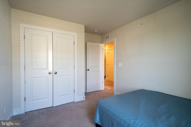 194 Green Poplar Loop, Clarksburg, MD 20871 - carpeted bedroom with a closet and baseboards