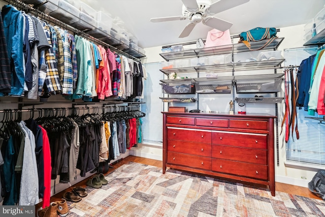 walk in closet featuring a ceiling fan and wood finished floors