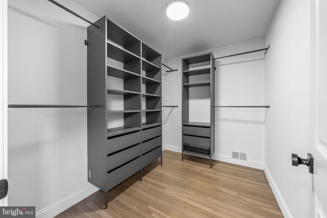 20 Hathaway Dr, Princeton Junction, NJ 08550 - spacious closet featuring light wood-type flooring