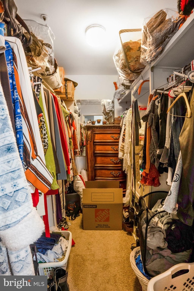9213 Fairlane Pl, Laurel, MD 20708 - spacious closet with carpet flooring