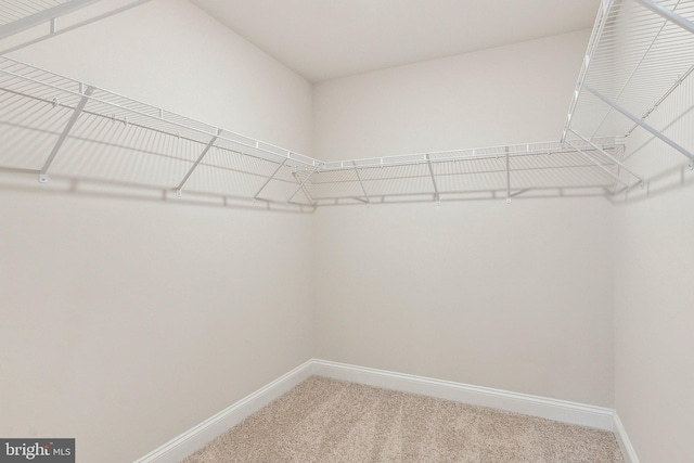 2841 Broad Wing Dr, Odenton, MD 21113