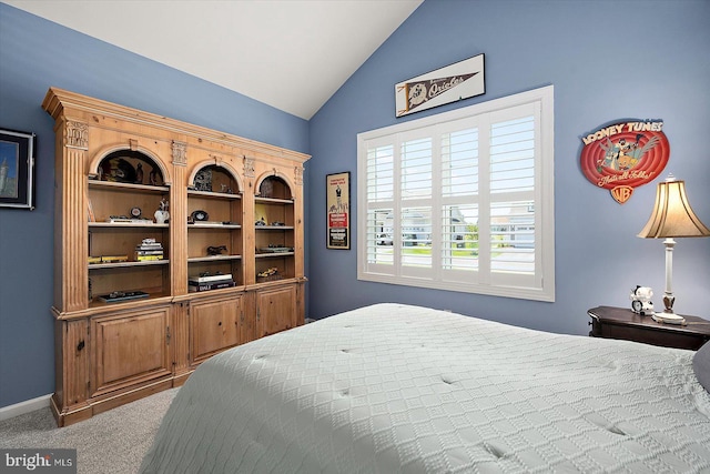29325 Andrew Jackson Dr, Millsboro, DE 19966 - carpeted bedroom with vaulted ceiling and baseboards