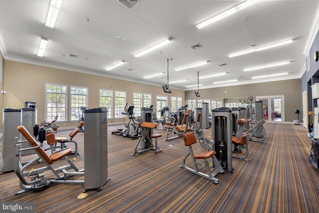 29325 Andrew Jackson Dr, Millsboro, DE 19966 - workout area with dark colored carpet, ornamental molding, and baseboards