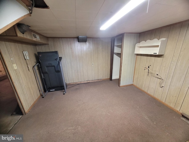 155 Hyndman Rd, Hyndman, PA 15545 - finished below grade area featuring wood walls, light carpet, and baseboards