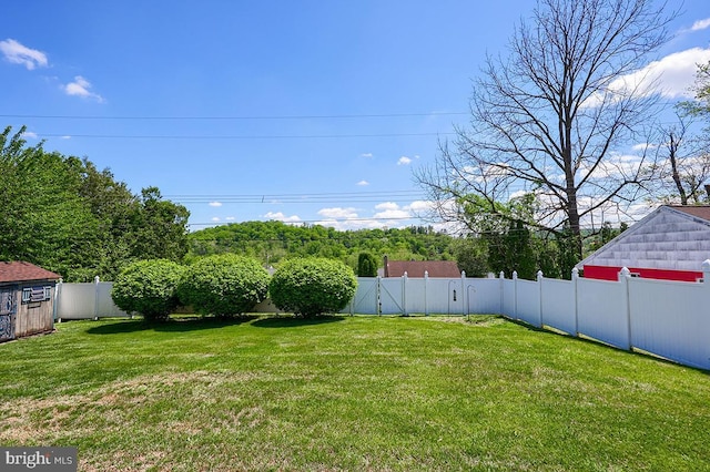 view of yard