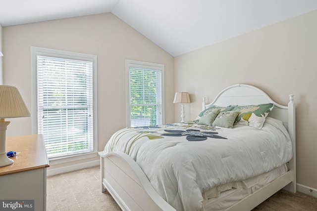31027 Scissorbill Rd, Ocean View, DE 19970 - carpeted bedroom featuring vaulted ceiling and baseboards