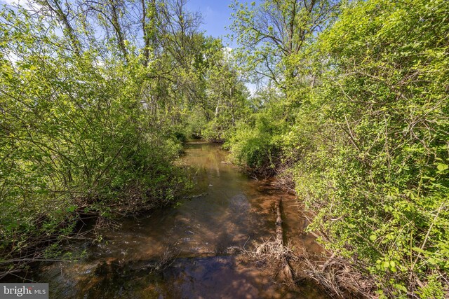 305 Gunhart Rd, Mohnton, PA 19540 - view of nature