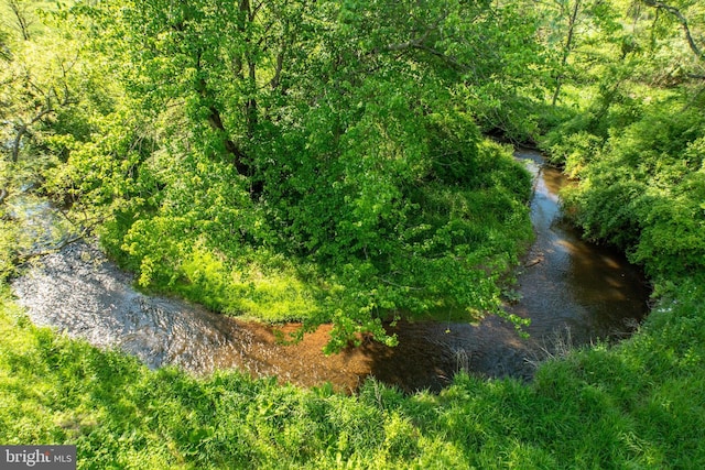 305 Gunhart Rd, Mohnton, PA 19540 - view of local wilderness