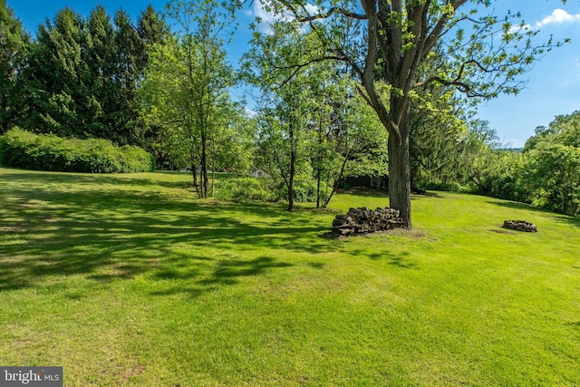 305 Gunhart Rd, Mohnton, PA 19540 - view of grassy yard