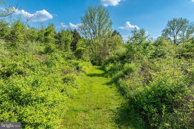 305 Gunhart Rd, Mohnton, PA 19540 - view of woods