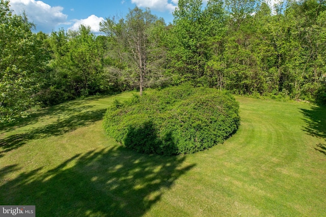 305 Gunhart Rd, Mohnton, PA 19540 - view of green lawn featuring a forest view