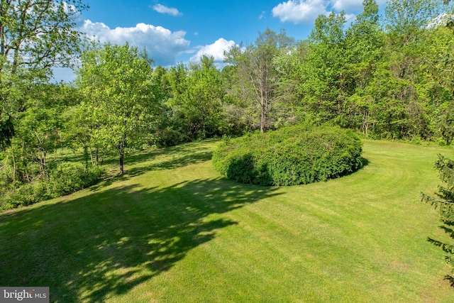 305 Gunhart Rd, Mohnton, PA 19540 - view of grassy yard
