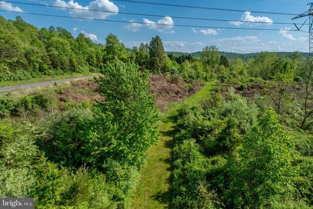 305 Gunhart Rd, Mohnton, PA 19540 - view of tree filled area