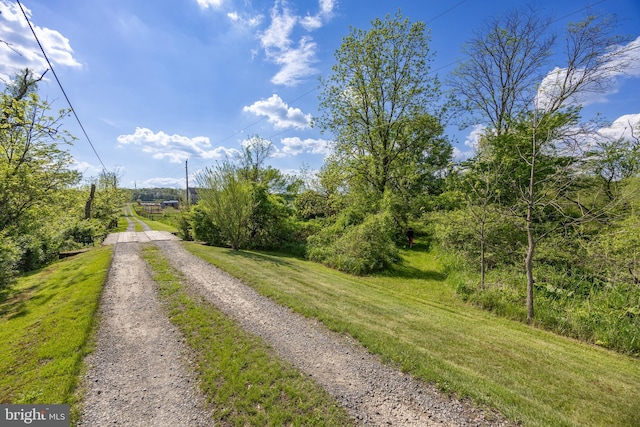 305 Gunhart Rd, Mohnton, PA 19540 - view of dirt / gravel road