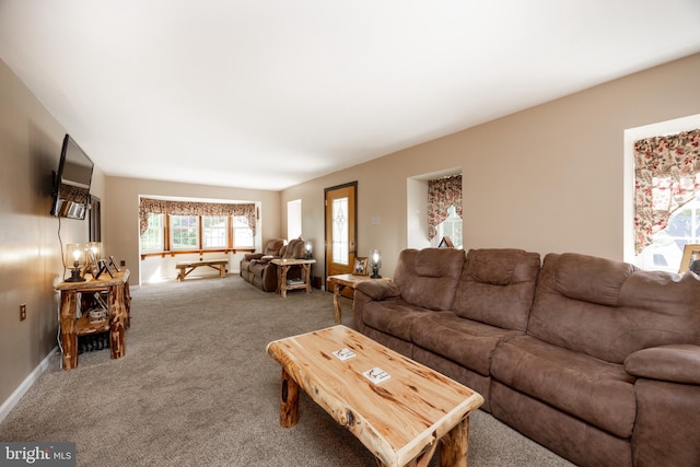 305 Gunhart Rd, Mohnton, PA 19540 - living area with carpet and baseboards