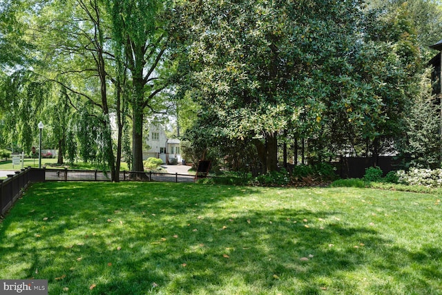 5033 Tilden St NW, Washington, DC 20016 - view of yard