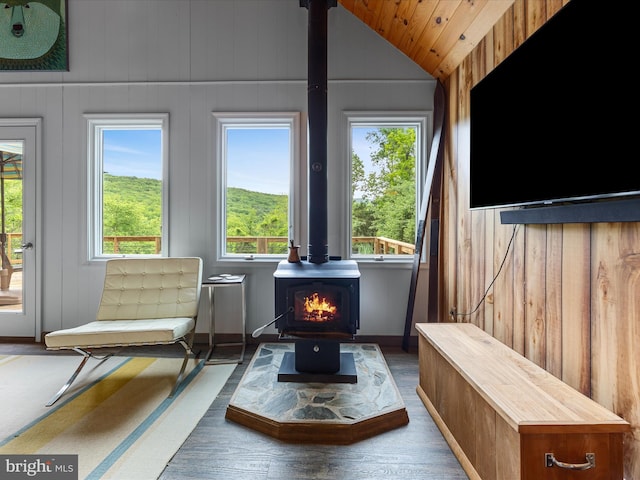 171 Honeymoon Hollow Rd, Lost City, WV 26810 - living area with a wood stove, healthy amount of natural light, wood finished floors, and lofted ceiling
