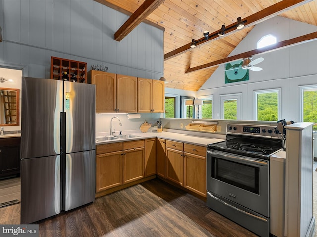 171 Honeymoon Hollow Rd, Lost City, WV 26810 - kitchen featuring stainless steel appliances, a sink, dark wood-style floors, wooden ceiling with exposed beams, and light countertops