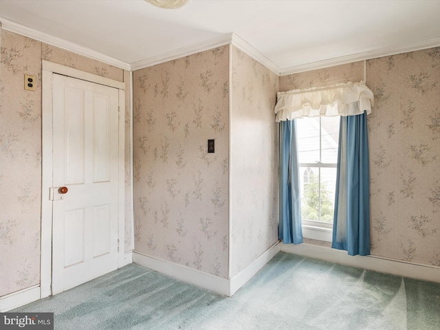 108 S 2nd St, Denton, MD 21629 - empty room featuring carpet floors and crown molding