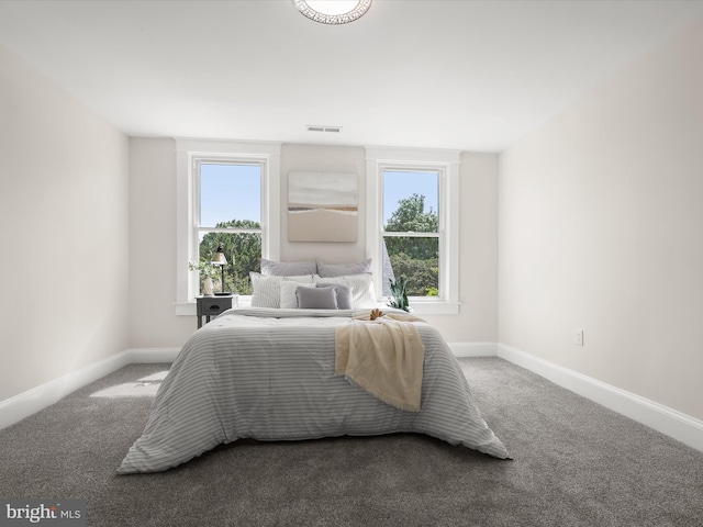 2912 Shirey Ave, Baltimore, MD 21214 - carpeted bedroom with multiple windows and baseboards
