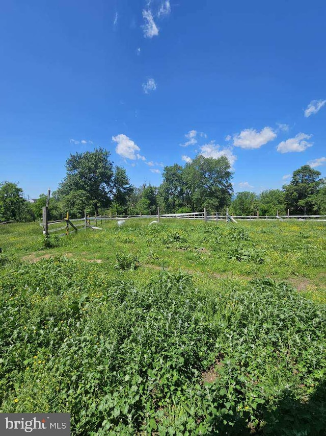 10110 Old Liberty Rd, Frederick, MD 21701 - view of yard with a view of rural / pastoral area and fence
