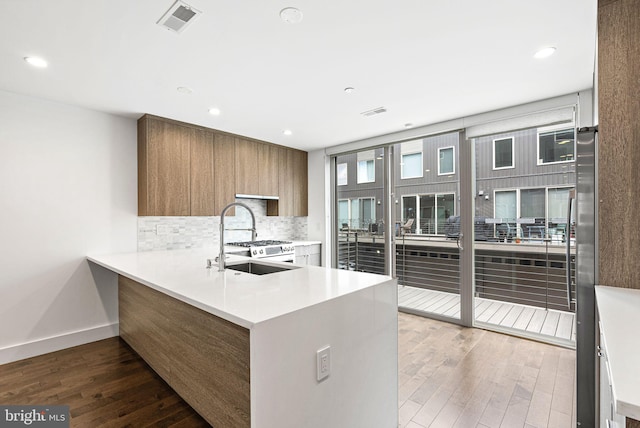 1339 S Garnet St, Philadelphia, PA 19146 - kitchen with wood finished floors, a sink, tasteful backsplash, modern cabinets, and baseboards