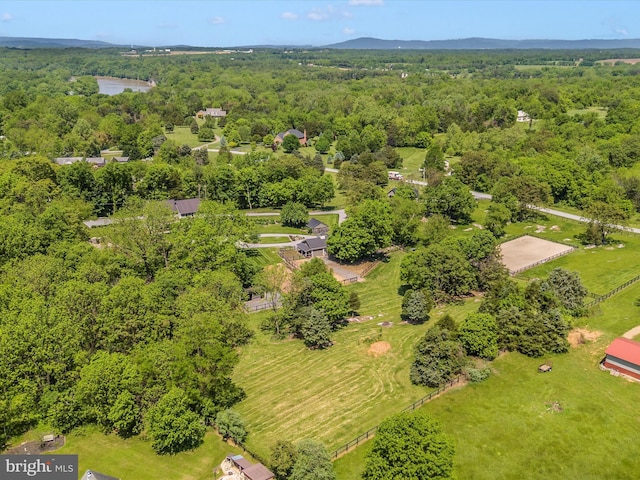 15953 River Bend Ct, Williamsport, MD 21795 - bird's eye view of a forest