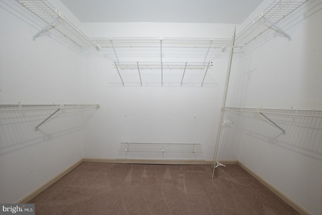 28 Woodstream Dr, Chesterbrook, PA 19087 - spacious closet featuring carpet flooring