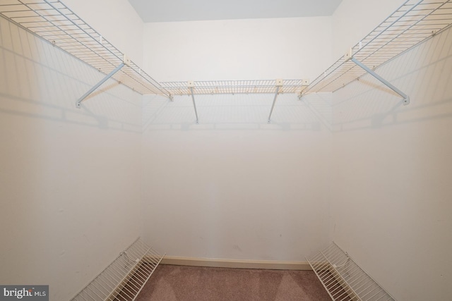 28 Woodstream Dr, Chesterbrook, PA 19087 - spacious closet with carpet floors