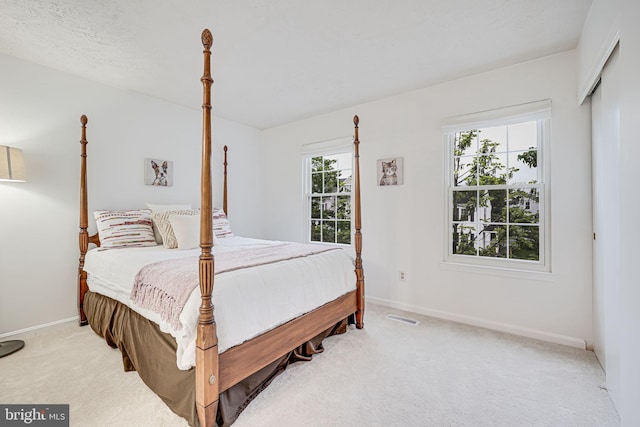 13916 Preacher Chapman Pl, Centreville, VA 20121 - bedroom featuring light colored carpet and baseboards