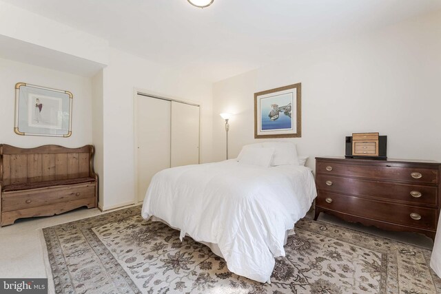 6808 Canal Bridge Ct, Potomac, MD 20854 - bedroom with a closet